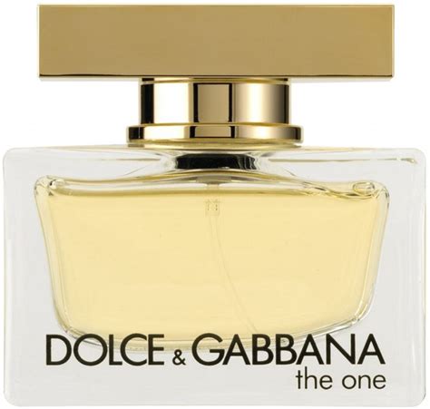 the one dolce gabbana 100ml equivalente|dolce gabbana the one woman.